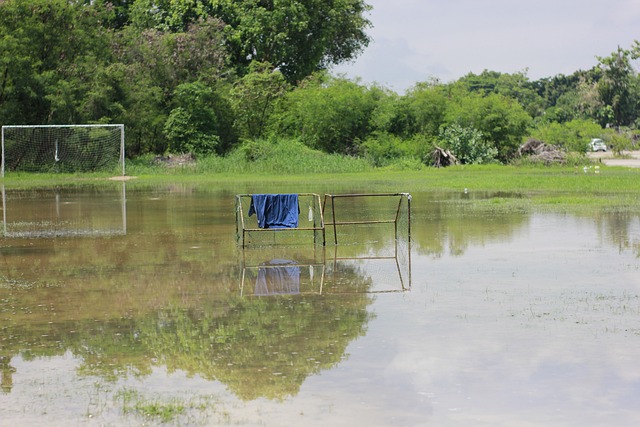 球迷的期待 球迷的期待