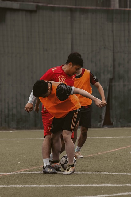 的西部联盟 的西部联盟