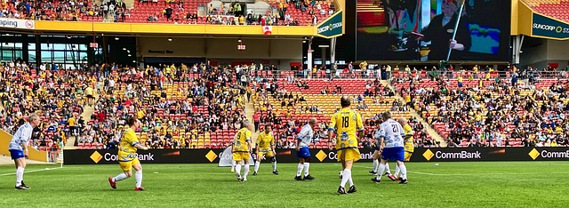 的足球世界 的足球世界