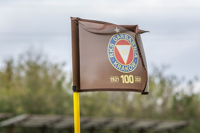 的代名词 的代名词