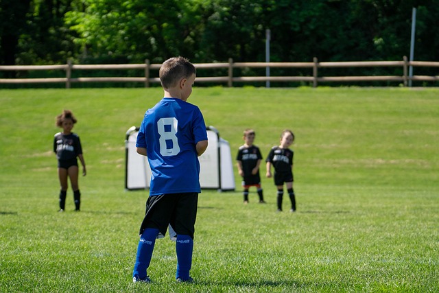 径运动的热 径运动的热