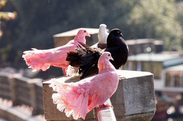 進攻層面 進攻層面