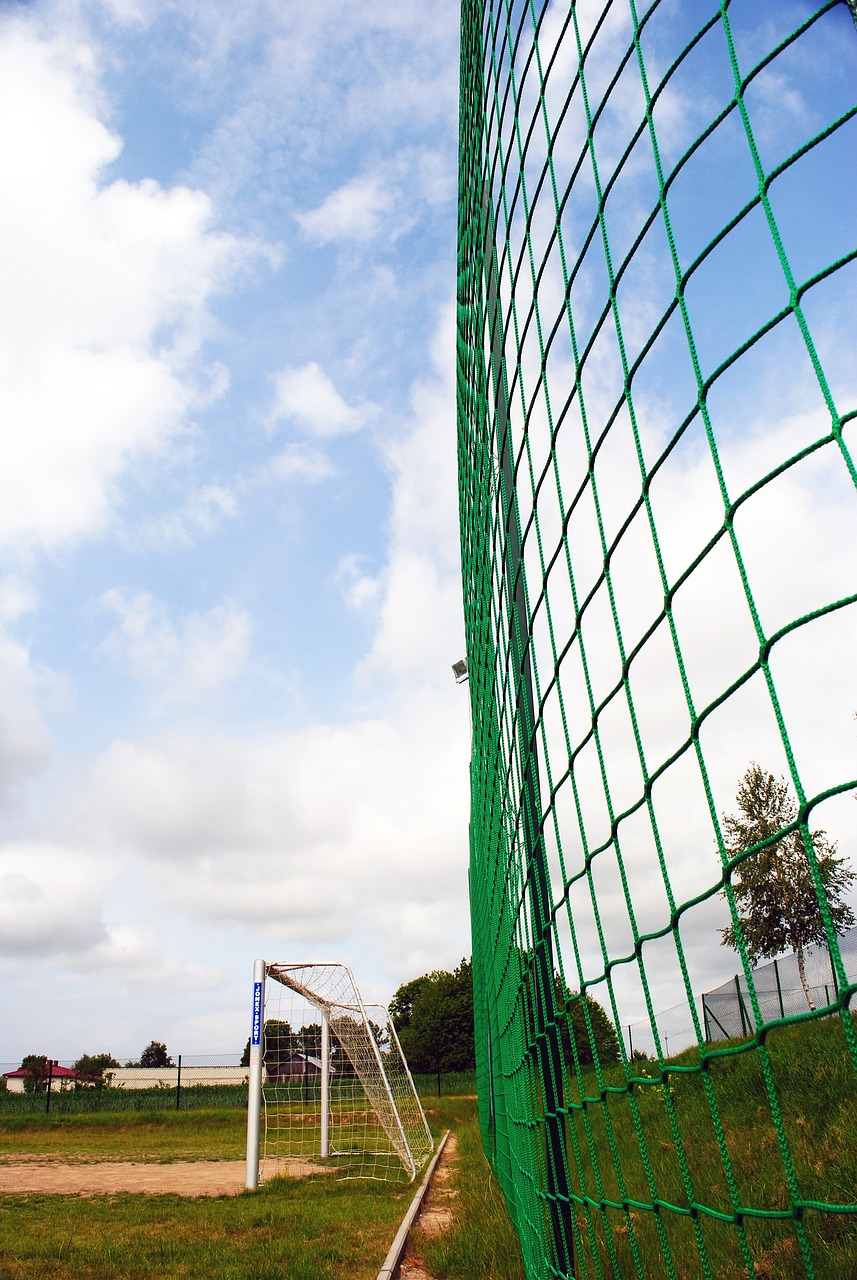 士的广泛讨 士的广泛讨