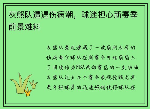 灰熊队遭遇伤病潮，球迷担心新赛季前景难料